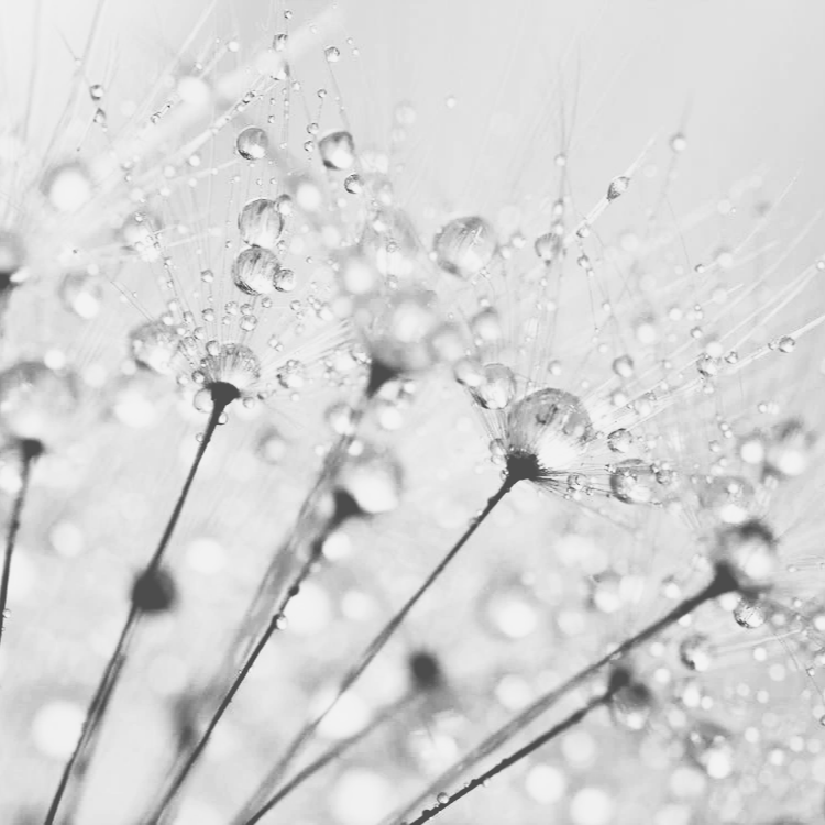Come Acqua