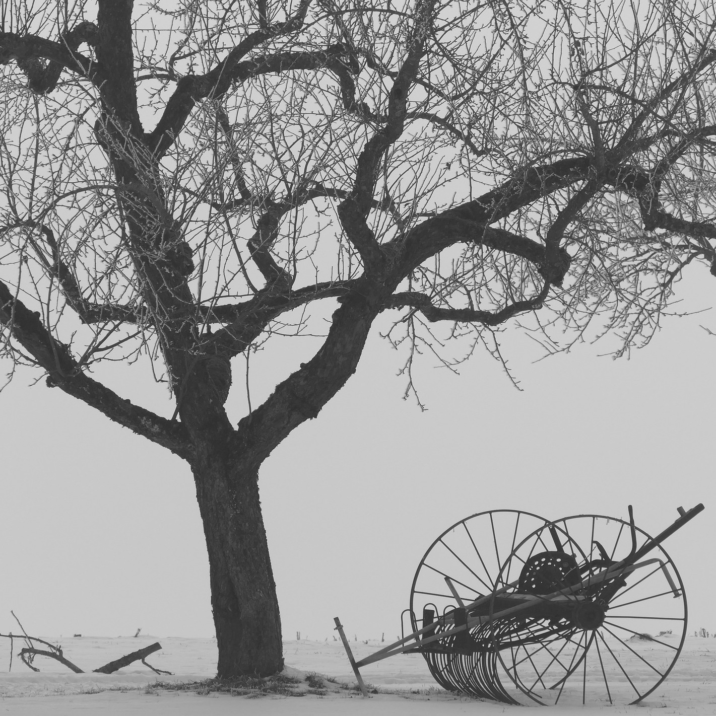 La complessità della depressione
