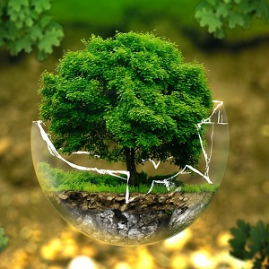 FierAmbiente