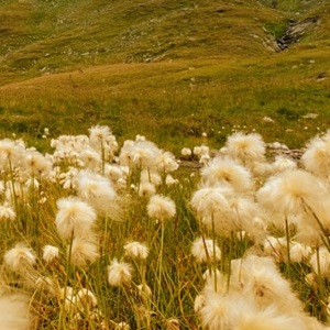 MONTAGNA in Movimento