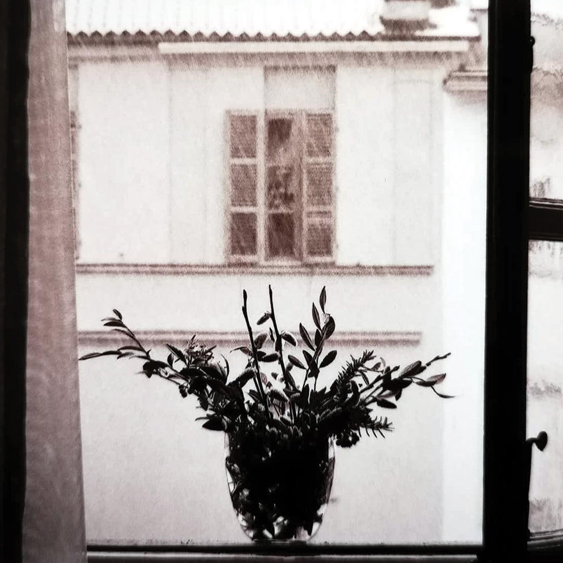 Fondazione Hapax