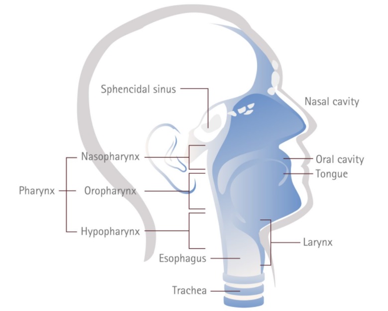Webinar on Head and Neck Sarcomas